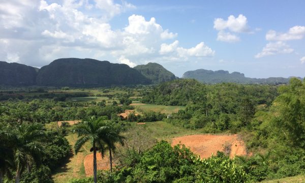 Cuba vinales