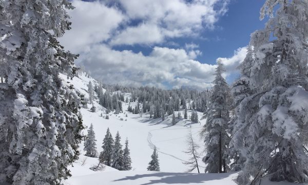 Oostenrijk met de camper naar de sneeuw